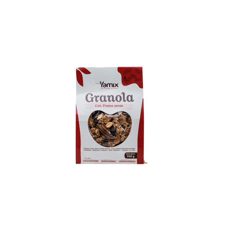 GRANOLA INSTANTANEA X 300G-YAMIX